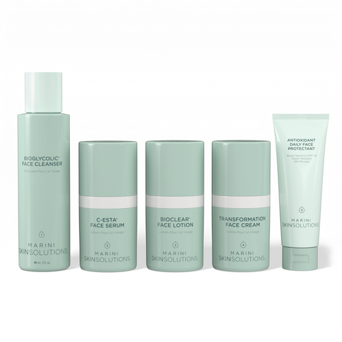 Starter Skin Care Management System - Normal Combo